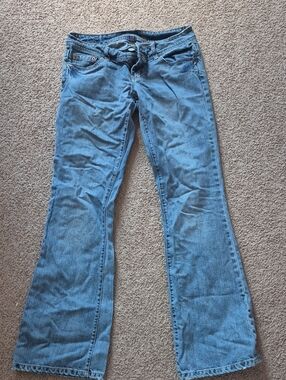 American Eagle Outfitters Light Blue Flared Jeans